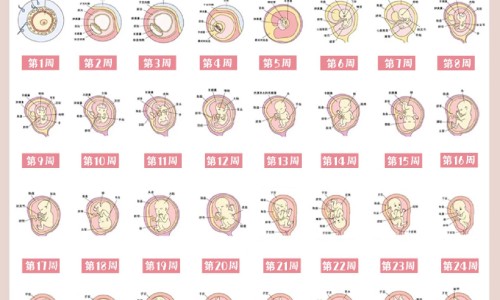 怀孕前两个月染头发好不好网 | 怀孕前两个月吃什么营养最好,怀孕前两个月不能吃什么